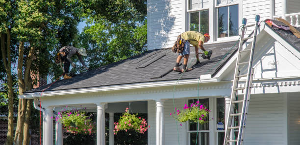 Best Roof Gutter Cleaning  in Green Meadows, OH